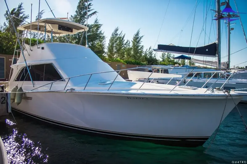 Ocean Yacht 48 Ft, photo 1