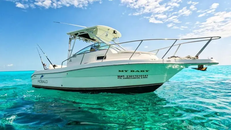 Charter 26 Ft, photo 1
