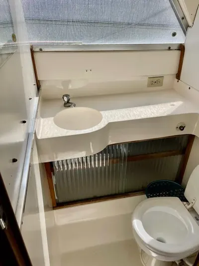 Bertram 31, photo 4