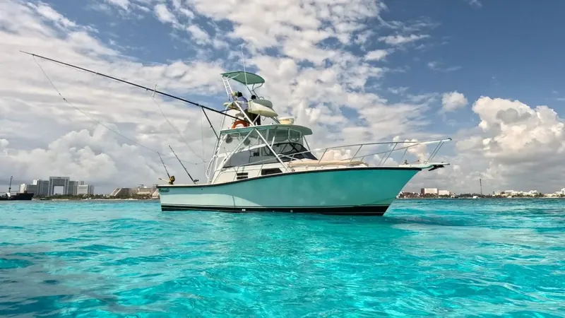 Bertram 35 ft, photo 8