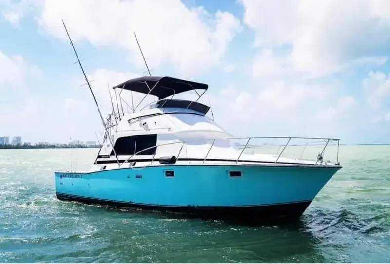 Bertram 40 Ft, photo 8