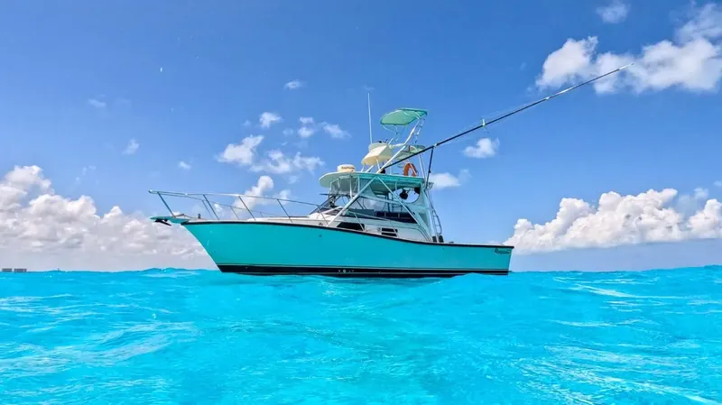 Bertram 35 ft, photo 1