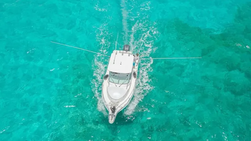 Charter 26 Ft, photo 8