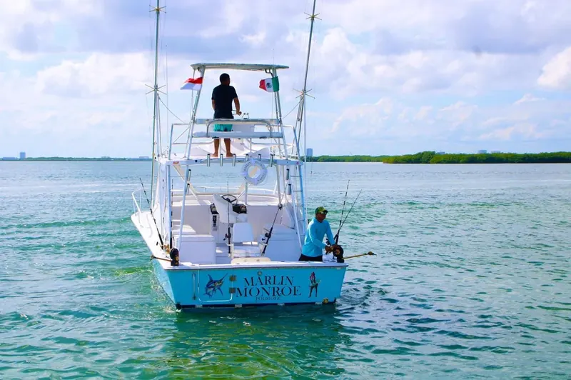Bertram 32 ft, photo 10