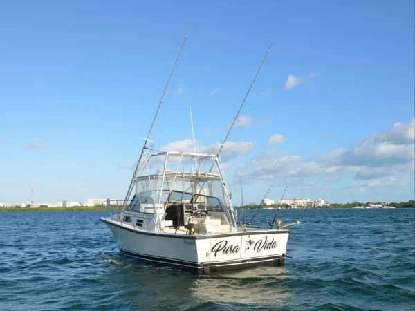 #1.- BERTRAM 35 Ft Up to 6 people / Price for Boat - Image 2