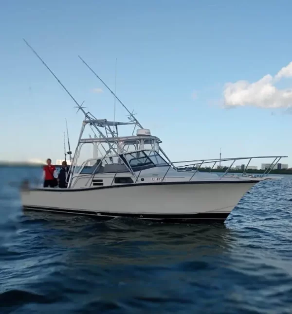 #1.- BERTRAM 35 Ft Up to 6 people / Price for Boat - Image 4