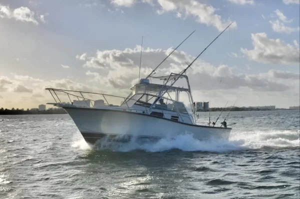 #1.- BERTRAM 35 Ft Up to 6 people / Price for Boat - Image 5