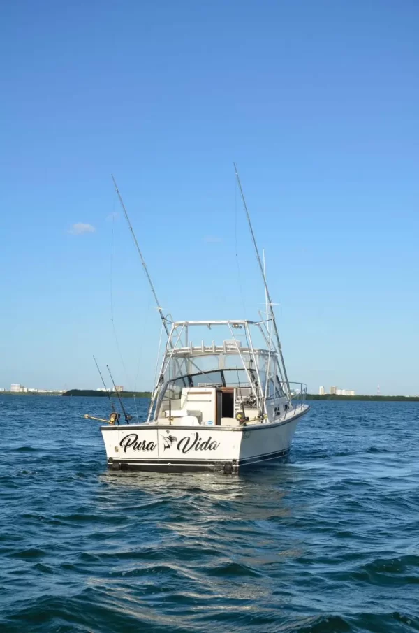 #1.- BERTRAM 35 Ft Up to 6 people / Price for Boat - Image 6